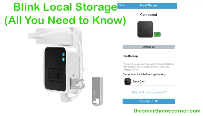 Blink Local Storage - What You Need to Know